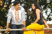 Loukyam Movie photos gallery-thumbnail-1