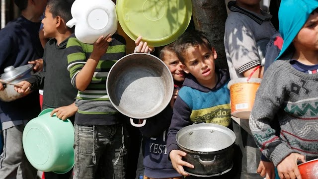 Mais de um bilhão de refeições são desperdiçadas por dia, afirma ONU