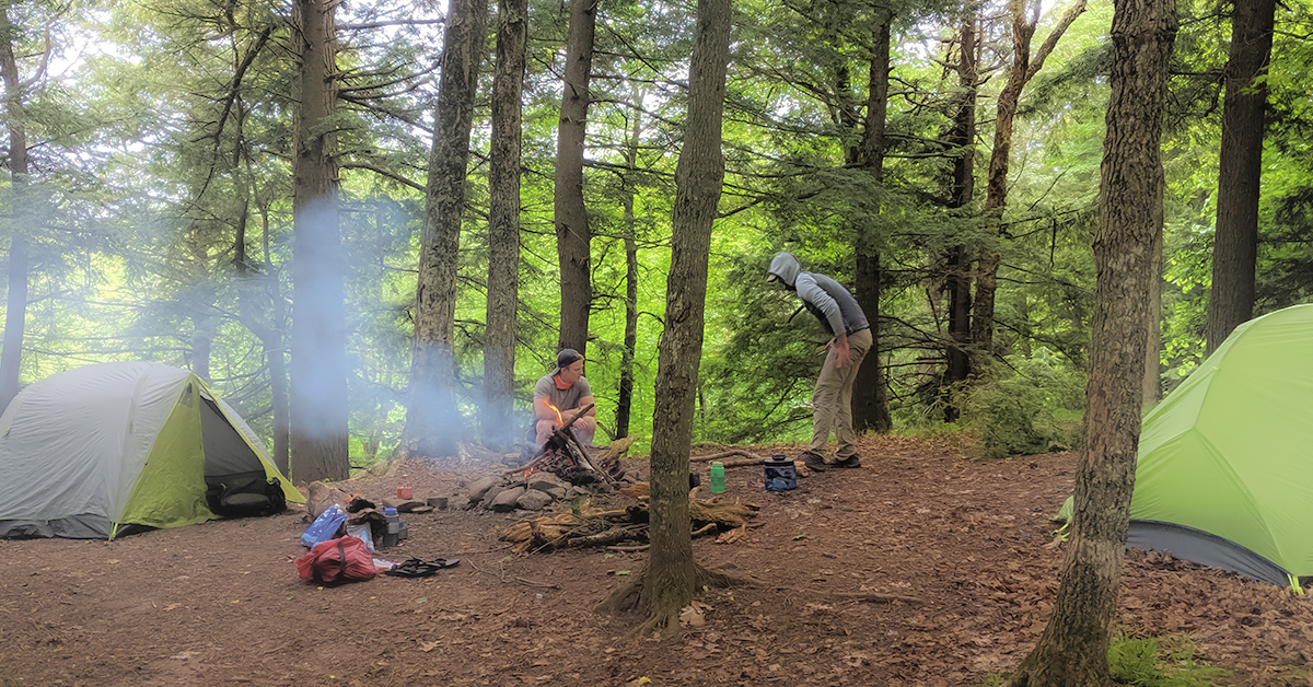 campsite beneath pines on hill