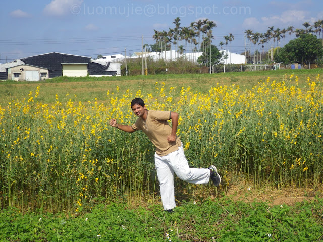 Xinshe Sea of Flowers