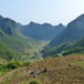 View album