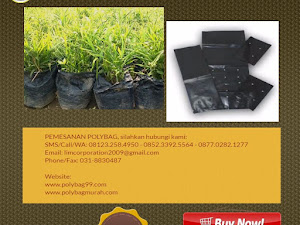 Kampung Segar Alasannya Yaitu Tanaman Polybag