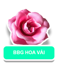 BBG HOA VẢI