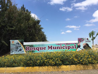 EL BOSQUE MUNICIPAL DE TACNA