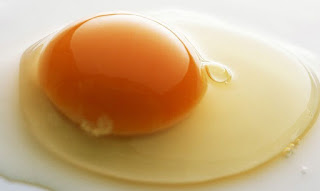 Putih telur mempunyai cukup banyak manfaat bagi badan 7 Manfaat Putih Telur 
