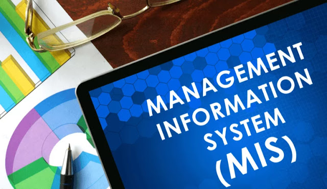 howministry-What challenges face the CIO in developing the company's MIS?