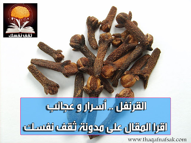 clove 1340259345 فوائد القرنفل ، أسرار وعجائب