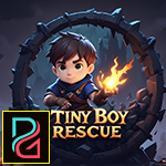 Palani Games  Tiny Boy Re…