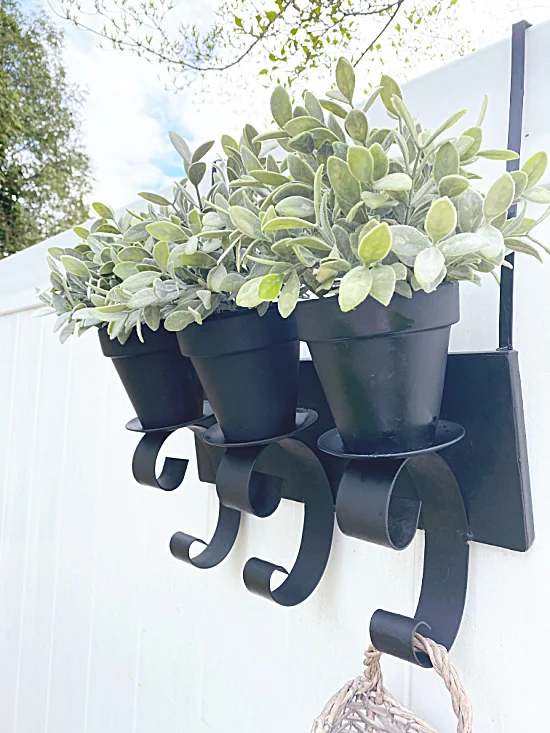 green plants in over fence planter