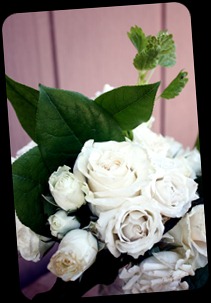 IMG_5699a IMG_5699a