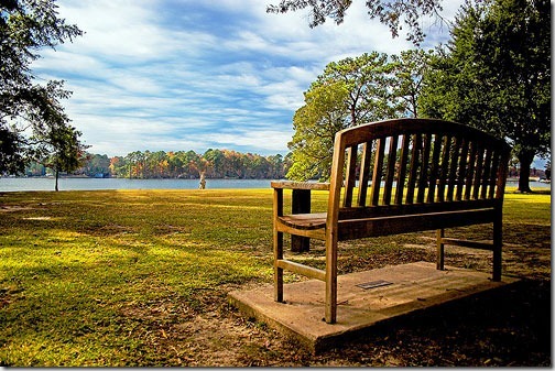 park-photography4