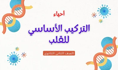 تتضمن المقالة اسئلة بنك المعرفة المصرى على التركيب الأساسي للقلب، ونشرح كيفية ملاءمة القلب لأداء وظيفته للصف الثانى الثانوى فى مادة الأحياء.