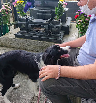 お墓参りに来た犬と飼い主