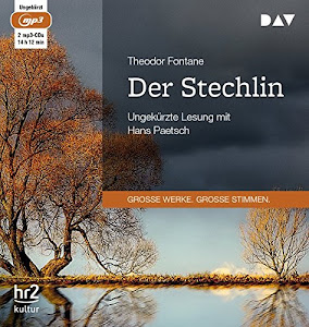 Der Stechlin: Ungekürzte Lesung (2 mp3-CDs)