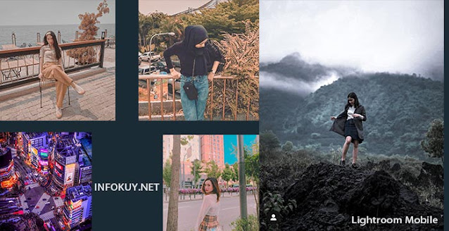 Preset Lightroom Premium Gratis