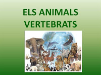 http://clic.xtec.cat/db/jclicApplet.jsp?project=http://clic.xtec.cat/projects/avertebr/jclic/avertebr.jclic.zip&lang=ca&title=Animals+vertebrats