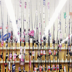 Tips Memilih Perlengkapan Pancing