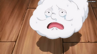 ワンピースアニメ 1034話 ゼウス かわいそう ZEUS | ONE PIECE Episode 1034