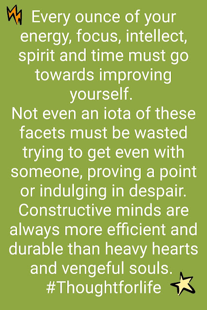 Constructive Mind Quote