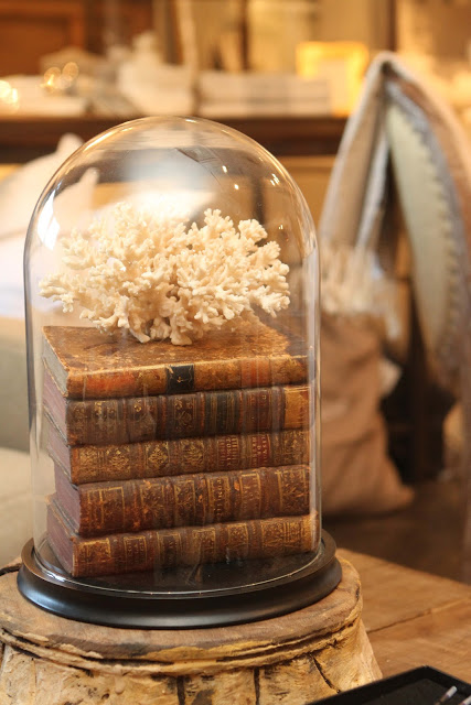 Cloche decor coral vintage books