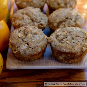 This recipe combines oats, orange juice and raisins with the sweetness of maple syrup plus crunch from coconut and sunflower seeds in a whole grain muffin that is free of refined sugar.
