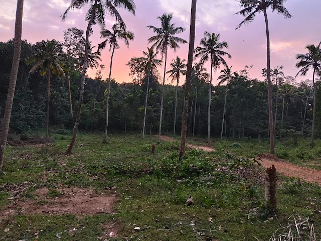 കൊല്ലം ചിതറയിൽ പ്ലോട്ട് വിൽപ്പനയ്ക്ക് 