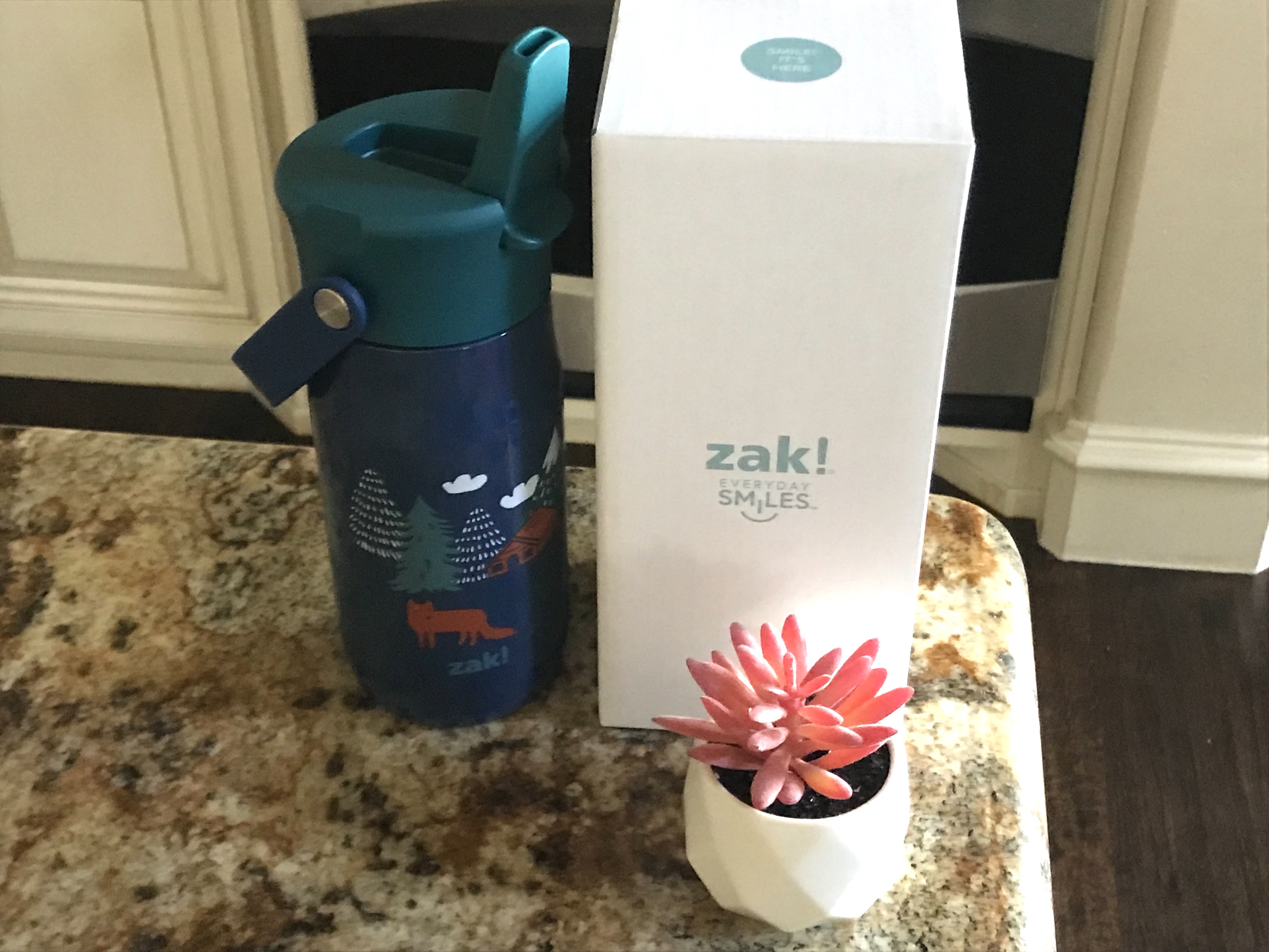 Dallas Mom Blog and Fort Worth Mom Blogger: Trendy Mom Reviews: My  Eco-Friendly Heart Loves zak!'s New Harmony Water Bottles!