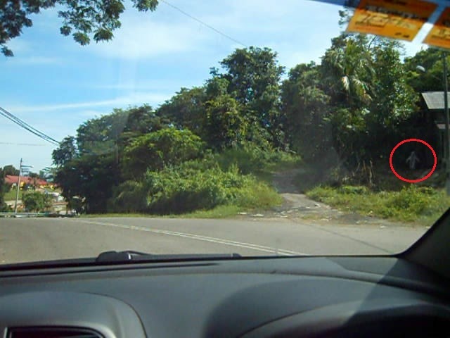 Gambar Hantu: Gambar Hantu Tepi Semak (Kuala Kerai, Kelantan)