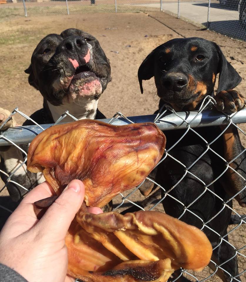 Theyinspireme: Pig Ears For Dogs???