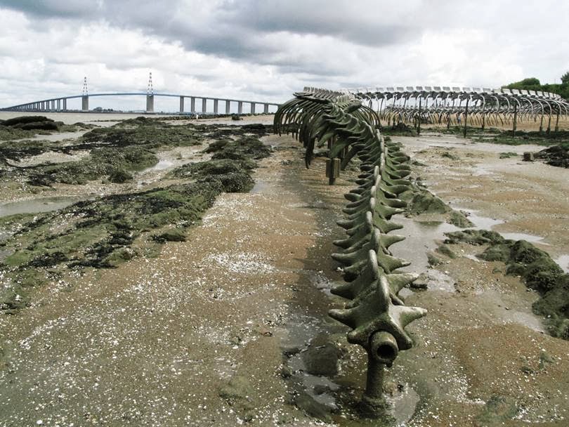 Serpent d’Océan | A Massive Metal Sea Serpent Skeleton on a Beach in France