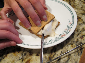 Homemade Smores