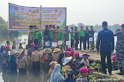 Lestarikan Pesisir  Pantai, Pasmar 1 Bekerja Sama Dengan PT. Pegadaian Tanam Ribuan Pohon Mangrove