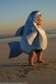 infant baby photos 17 infant baby photos 17
