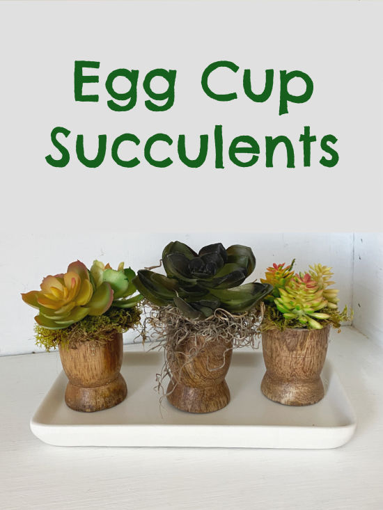 egg cup succulent pin