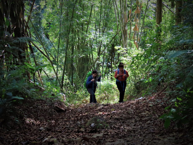 doi wiang pha national park, doi wieang pha national park, doi wiang pha, doi wieang pha,  doi wiangpha national park, doi wiengpha national park