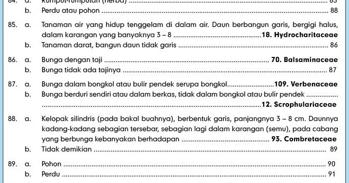  Contoh  Kunci Identifikasi Hewan  Rasmi Q