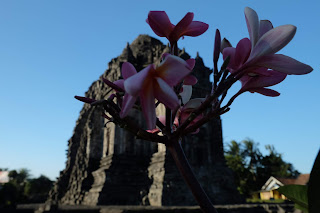 Candi Kalasan