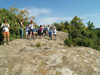 El rocam on es troba el fals dolmen