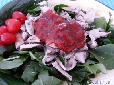Jan 20 turkey salad 001
