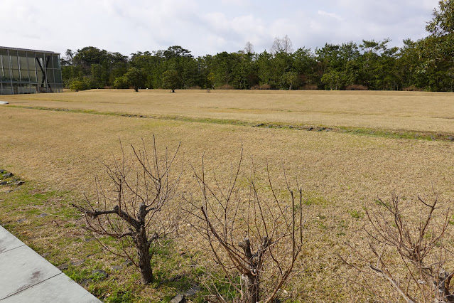 島根県出雲市大社町杵築東 島根県立古代出雲歴史博物館