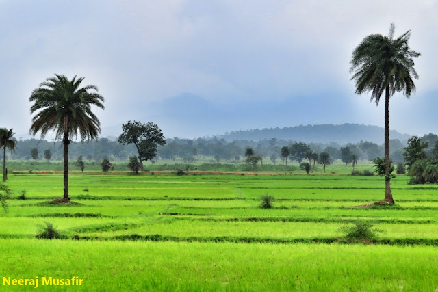 मानसून में बस्तर