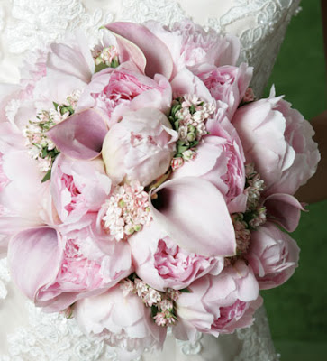 Pink Calla Lily Bridal Bouquet From Ariston Florist