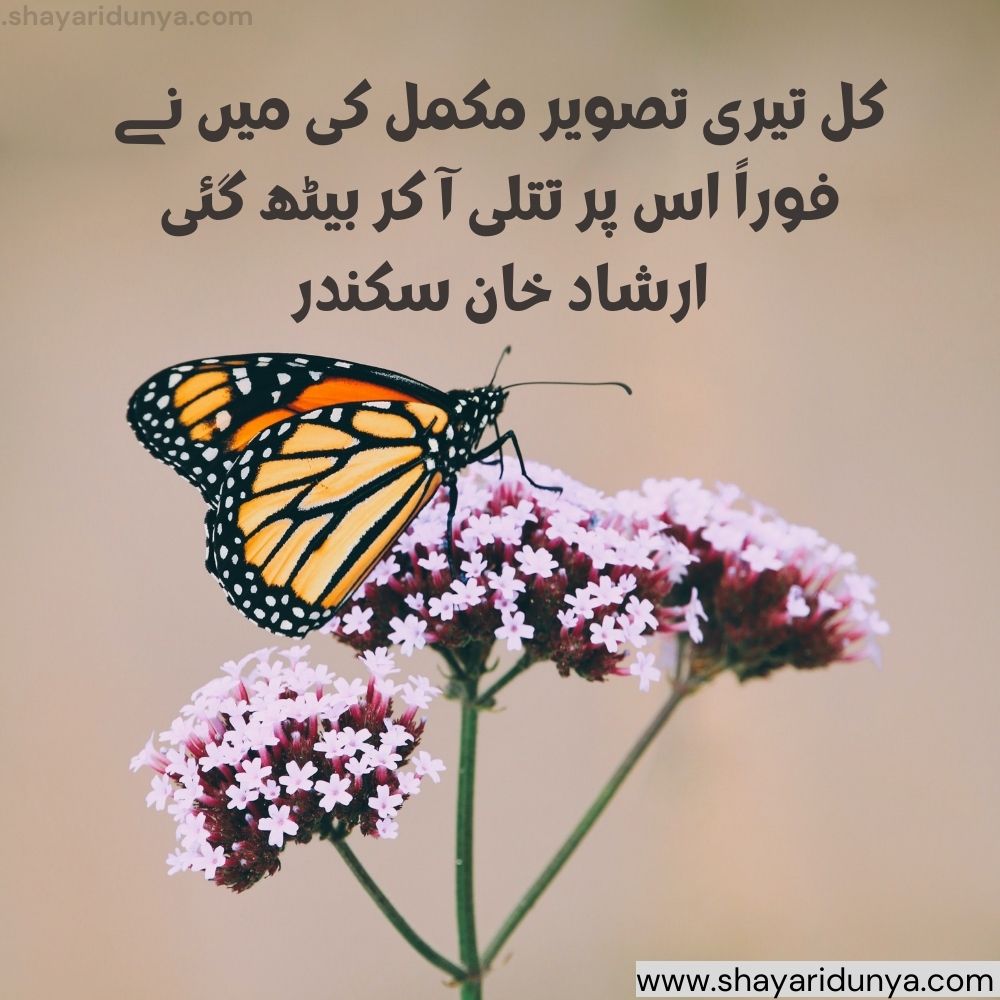 titli shayari in urdu | Butterfly Shayari | butterfly quotes | titli shayari in urdu  | titli quotes in urdu