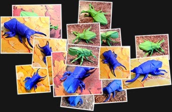 View Beetle Mania