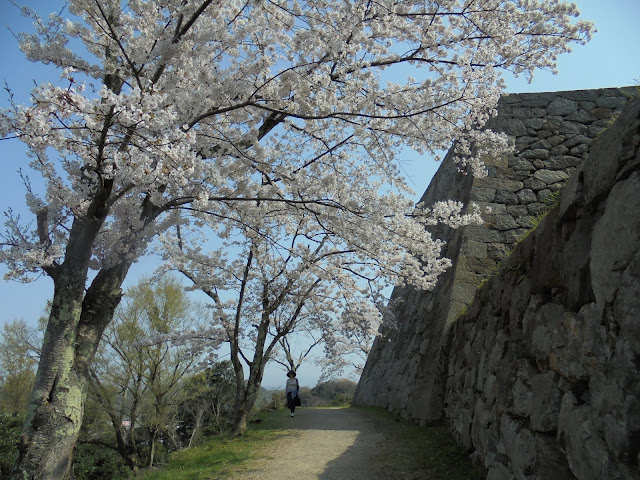 米子城跡の天守跡