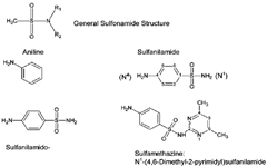 sulfonamide general structure