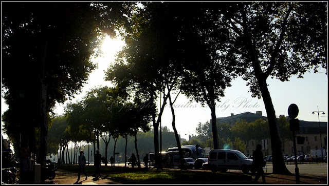 Avenue de Paris in Versailles