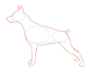 How to draw a Realistic Dog - step 3