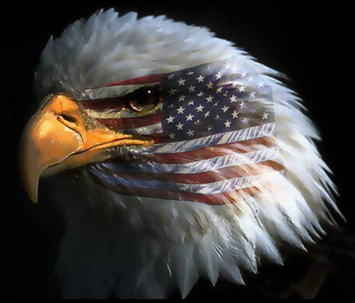 american flag background with eagle. american flag background