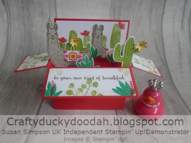 #JOSTTT005, Birthday Fiesta, Craftyduckydoodah!, Floweriung Desert, Rectangular Box Card Tutorial, Stampin' Up! UK Independent  Demonstrator Susan Simpson, Supplies available 24/7 from my online store, 